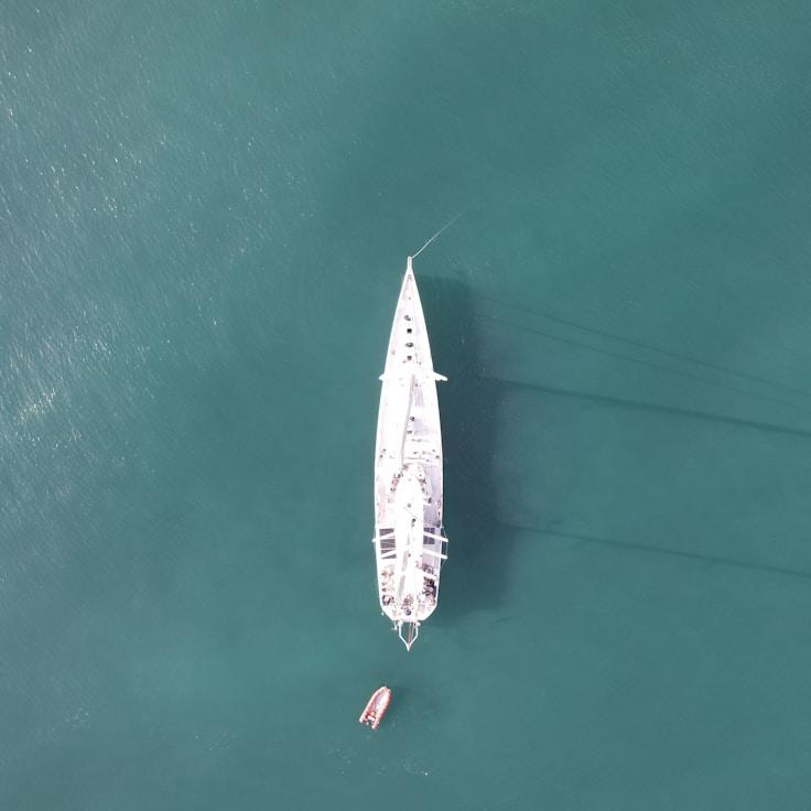 Sea adventure moment
